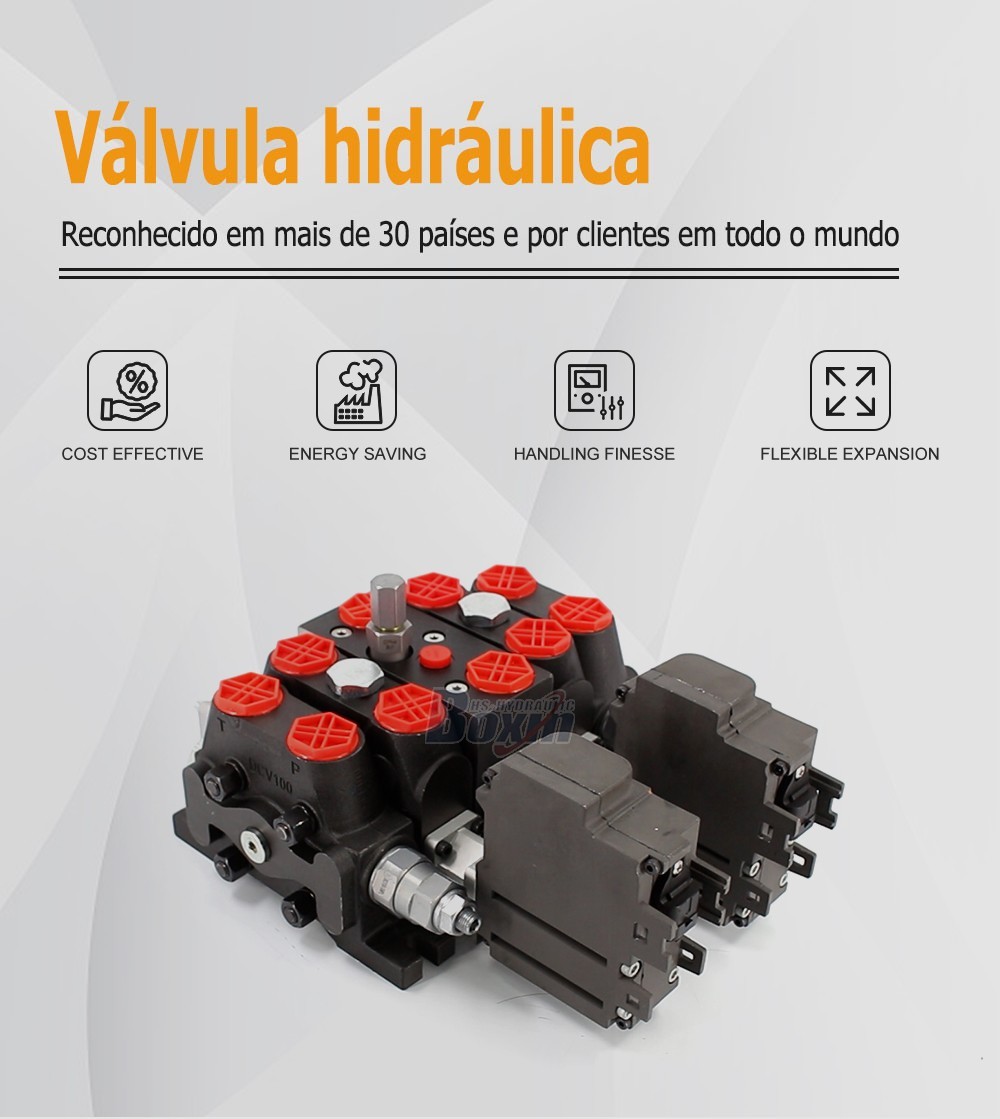 Seeking Business Partners and Agents for DCV100EMA-YT-JYT-J-K Electric Motor 2 Spool Sectional Directional Valve Distribution
